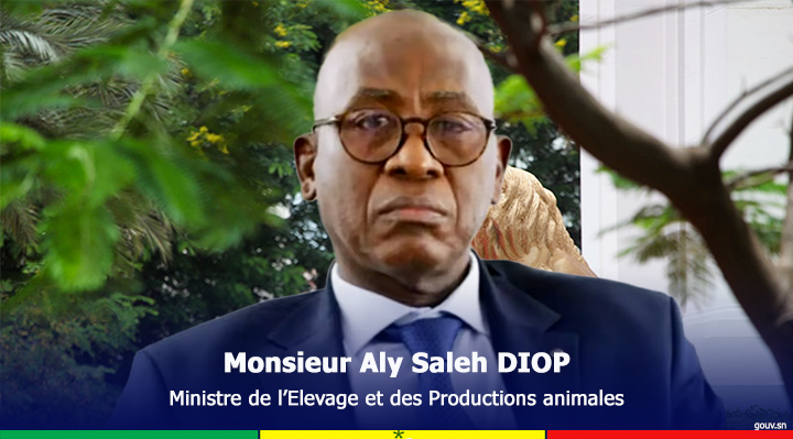 Monsieur Aly Saleh DIOP